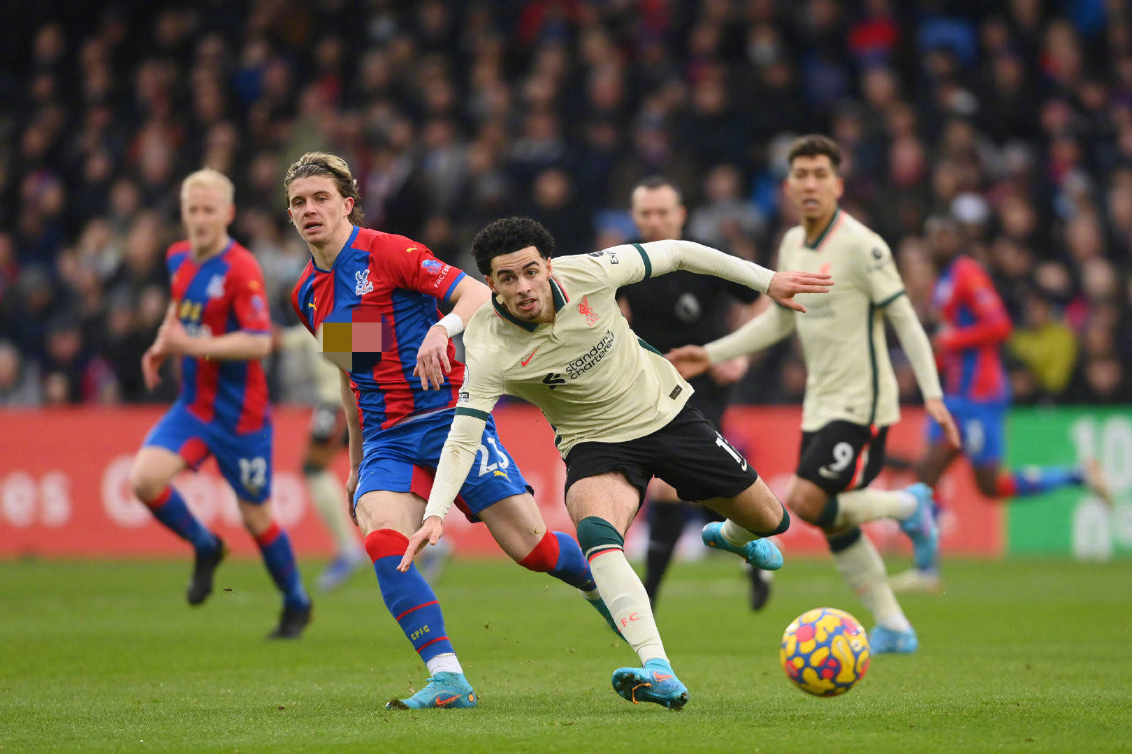 卫以他的经 卫以他的经